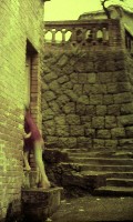 藏品(1950至2006年臺灣常民生活)的圖片