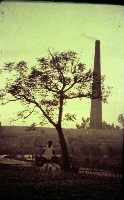 藏品(1950至2006年臺灣常民生活)的圖片