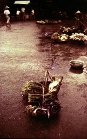 藏品(1950至2006年臺灣常民生活)的圖片
