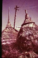 藏品(1950至2006年臺灣常民生活)的圖片