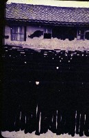 藏品(1950至2006年臺灣常民生活)的圖片