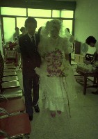 藏品(1950至2006年臺灣常民生活)的圖片