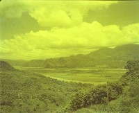 藏品(1950至2006年臺灣常民生活)的圖片