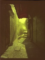 藏品(1950至2006年臺灣常民生活)的圖片