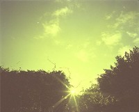 藏品(1950至2006年臺灣常民生活)的圖片