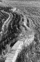 藏品(1950至2006年臺灣常民生活)的圖片