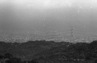 藏品(1950至2006年臺灣常民生活)的圖片