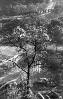 藏品(1950至2006年臺灣常民生活)的圖片