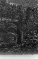 藏品(1950至2006年臺灣常民生活)的圖片