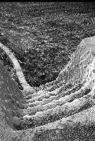 藏品(1950至2006年臺灣常民生活)的圖片