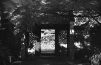 藏品(1950至2006年臺灣常民生活)的圖片