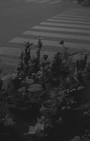 藏品(1950至2006年臺灣常民生活)的圖片