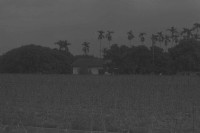 藏品(1950至2006年臺灣常民生活)的圖片