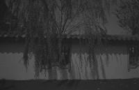 藏品(1950至2006年臺灣常民生活)的圖片