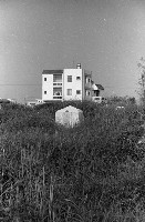 藏品(1950至2006年臺灣常民生活)的圖片
