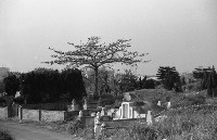 藏品(1950至2006年臺灣常民生活)的圖片