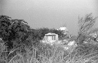 藏品(1950至2006年臺灣常民生活)的圖片