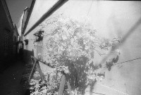 藏品(1950至2006年臺灣常民生活)的圖片