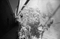 藏品(1950至2006年臺灣常民生活)的圖片