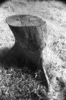 藏品(1950至2006年臺灣常民生活)的圖片