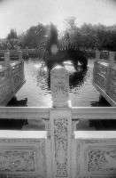 藏品(1950至2006年臺灣常民生活)的圖片