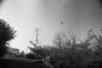 藏品(1950至2006年臺灣常民生活)的圖片