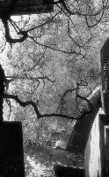 藏品(1950至2006年臺灣常民生活)的圖片