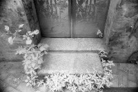 藏品(1950至2006年臺灣常民生活)的圖片