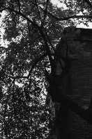 藏品(1950至2006年臺灣常民生活)的圖片