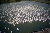 藏品(1950至2006年臺灣常民生活)的圖片