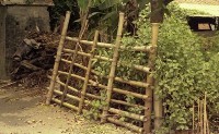 藏品(1950至2006年臺灣常民生活)的圖片