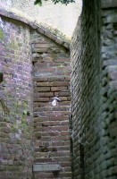 藏品(1950至2006年臺灣常民生活)的圖片