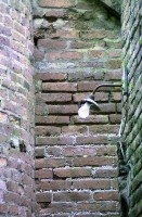 藏品(1950至2006年臺灣常民生活)的圖片