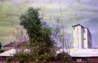 藏品(1950至2006年臺灣常民生活)的圖片