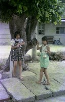 藏品(1950至2006年臺灣常民生活)的圖片