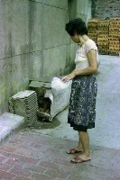 藏品(1950至2006年臺灣常民生活)的圖片