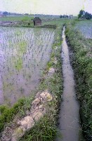 藏品(1950至2006年臺灣常民生活)的圖片