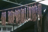 藏品(1950至2006年臺灣常民生活)的圖片