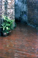 藏品(1950至2006年臺灣常民生活)的圖片