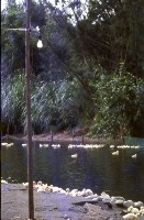 藏品(1950至2006年臺灣常民生活)的圖片