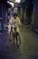 藏品(1950至2006年臺灣常民生活)的圖片