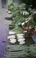 藏品(1950至2006年臺灣常民生活)的圖片
