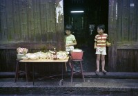 藏品(1950至2006年臺灣常民生活)的圖片