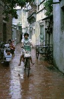 藏品(1950至2006年臺灣常民生活)的圖片