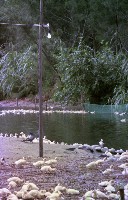 藏品(1950至2006年臺灣常民生活)的圖片