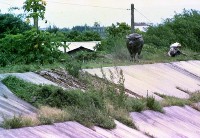 藏品(1950至2006年臺灣常民生活)的圖片