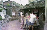 藏品(1950至2006年臺灣常民生活)的圖片