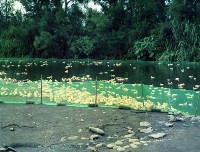 藏品(1950至2006年臺灣常民生活)的圖片