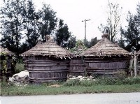 藏品(1950至2006年臺灣常民生活)的圖片