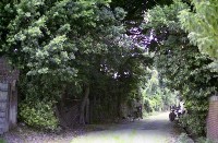 藏品(1950至2006年臺灣常民生活)的圖片